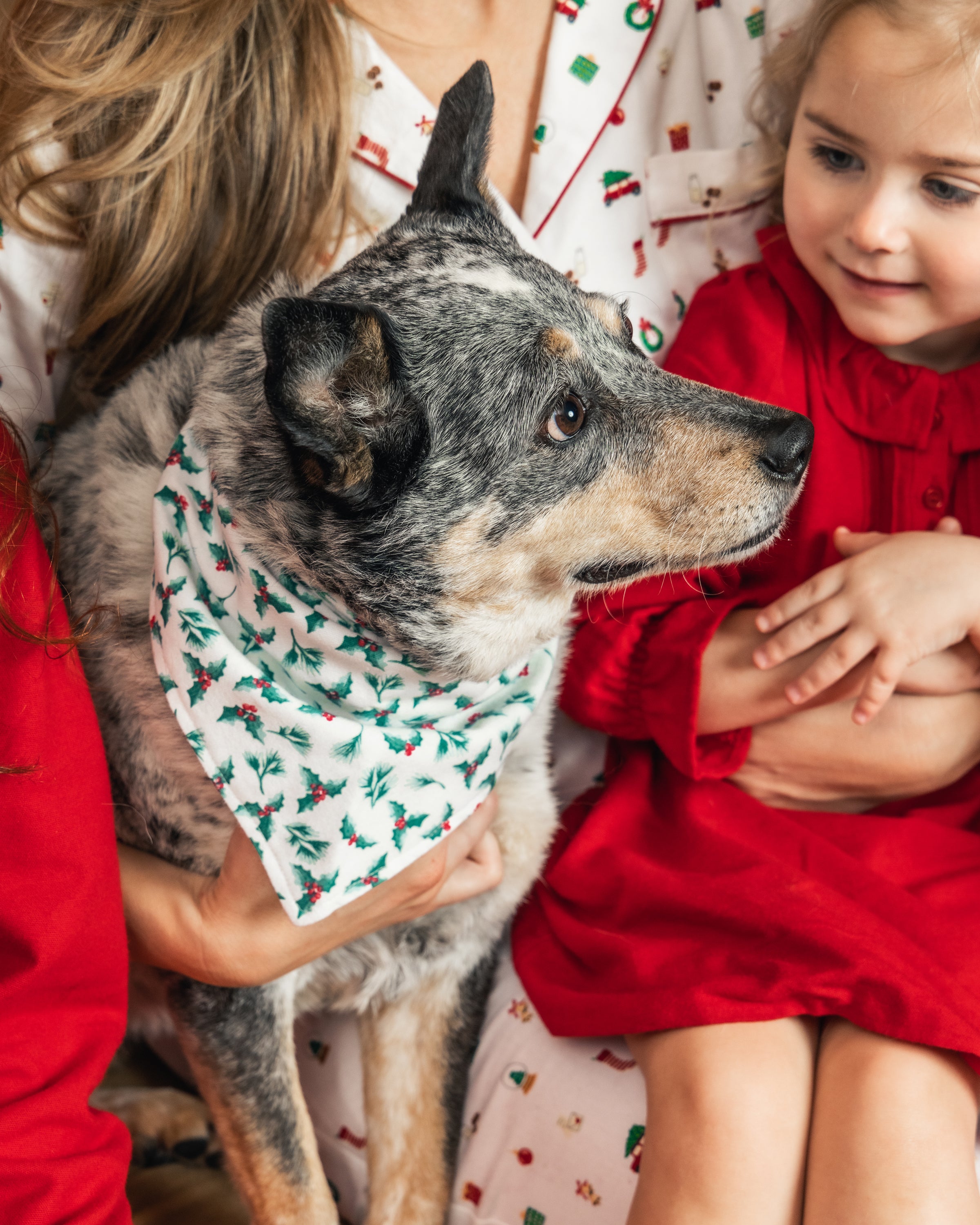 A cozy scene with a black and white dog wearing a Sprigs of the Season bandana by Petite Plume sits between a child in a red dress and another person in holiday-themed pajamas, exuding a warm, festive atmosphere.