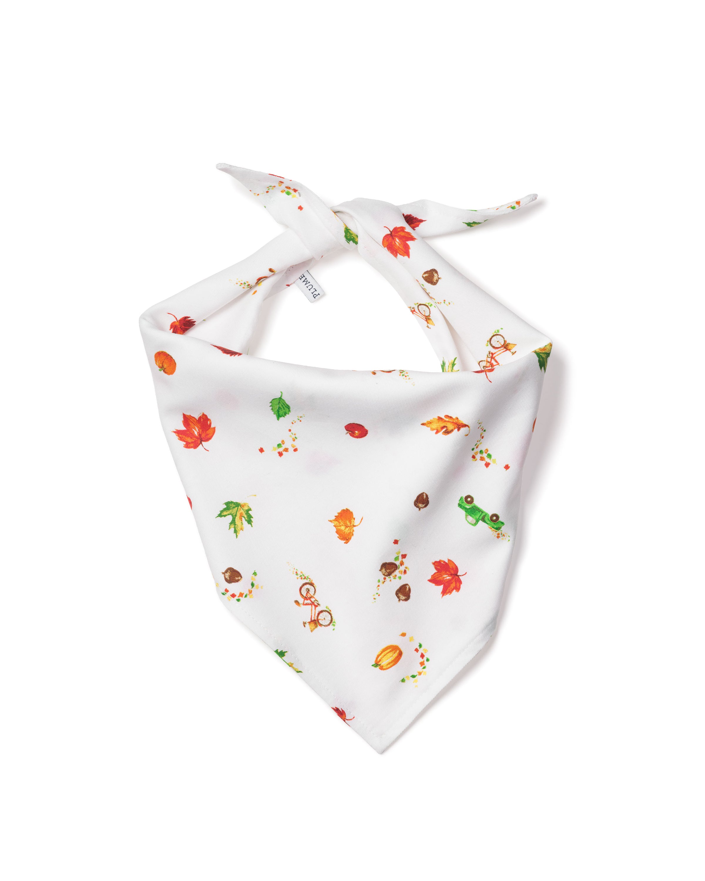 Arctic Express Dog Bandana | Petite Plume
