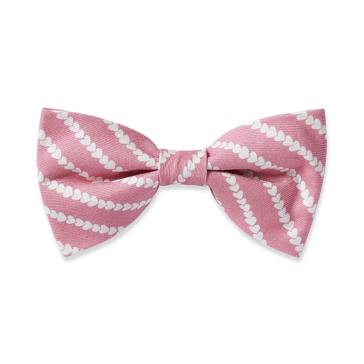 Twill Dog Bow Tie in Love Lines