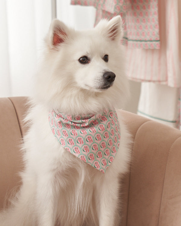 Colony Hotel x Petite Plume Exclusive Print Dog Bandana