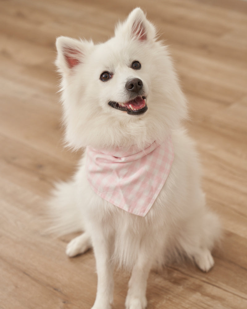 Dog Twill Bandana in Pink Gingham