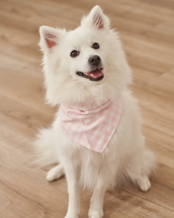 Dog Twill Bandana in Yellow Gingham