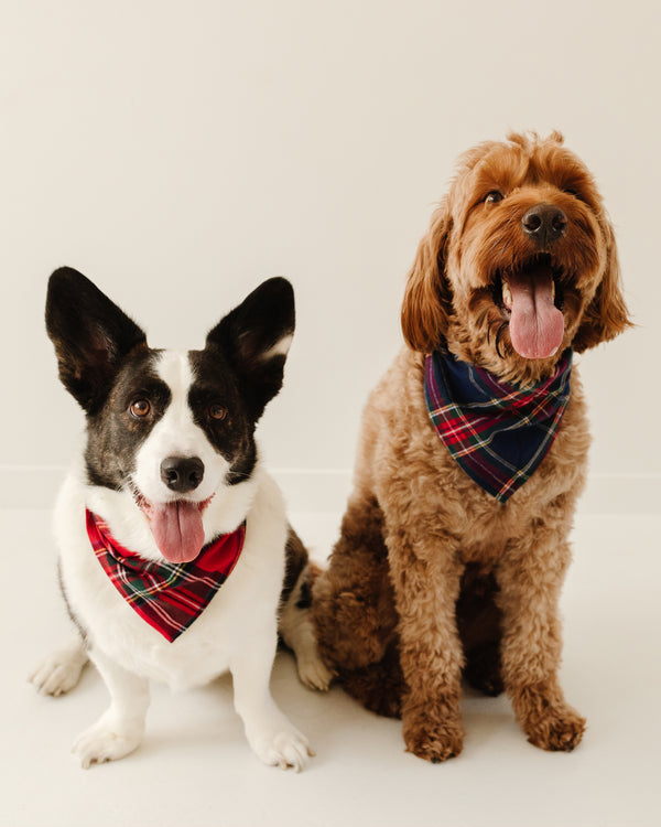 Dog Bandana in Red Mini Gingham